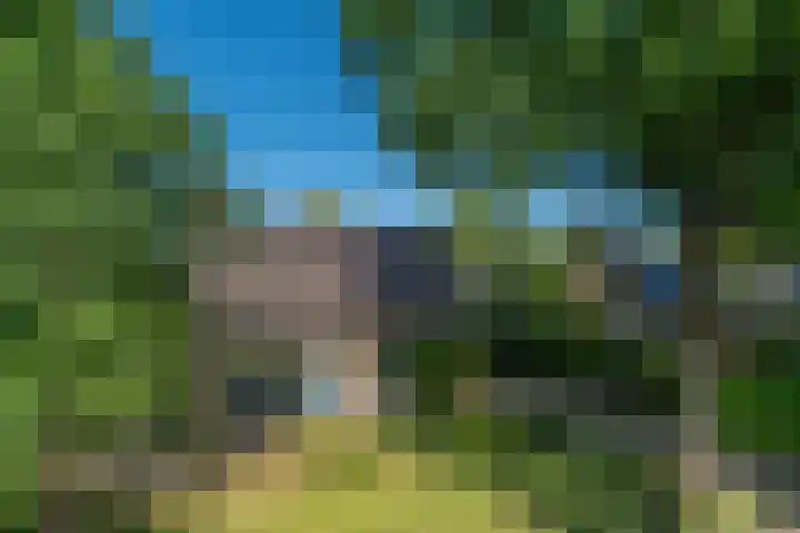 Korenbloemstraat 5 Vries thumbnail 30