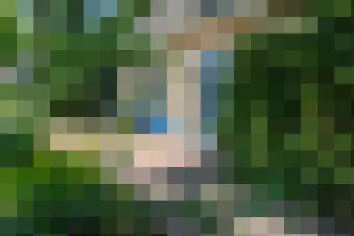 Korenbloemstraat 5 Vries thumbnail 32