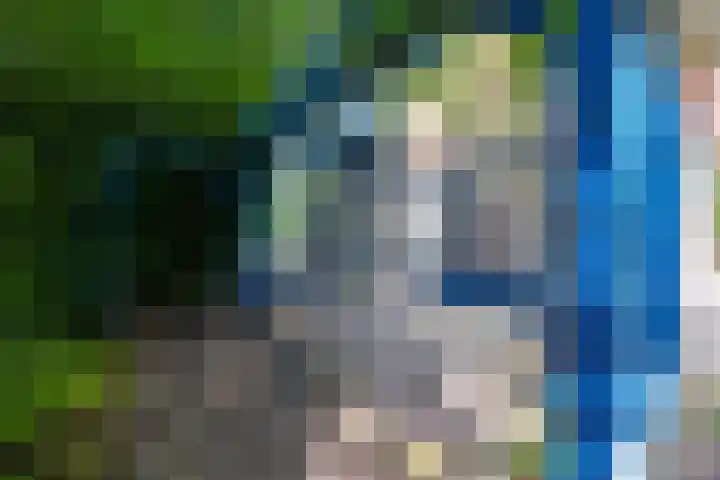Korenbloemstraat 5 Vries thumbnail 33