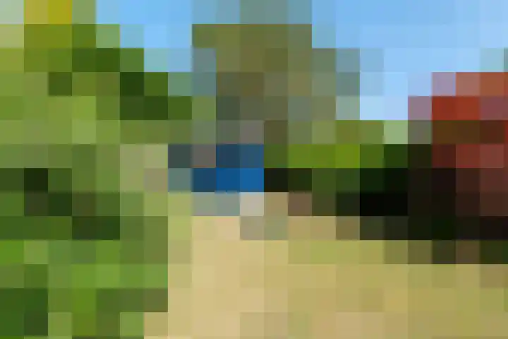 Korenbloemstraat 5 Vries thumbnail 37