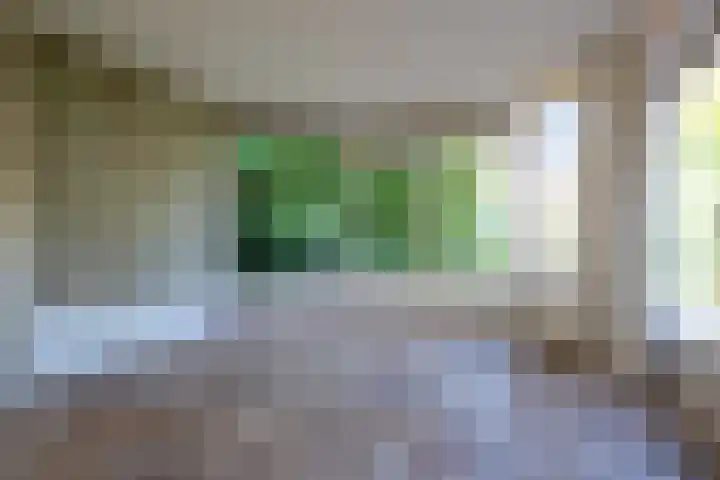Korenbloemstraat 5 Vries thumbnail 4