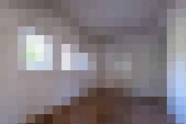 Korenbloemstraat 5 Vries thumbnail 7