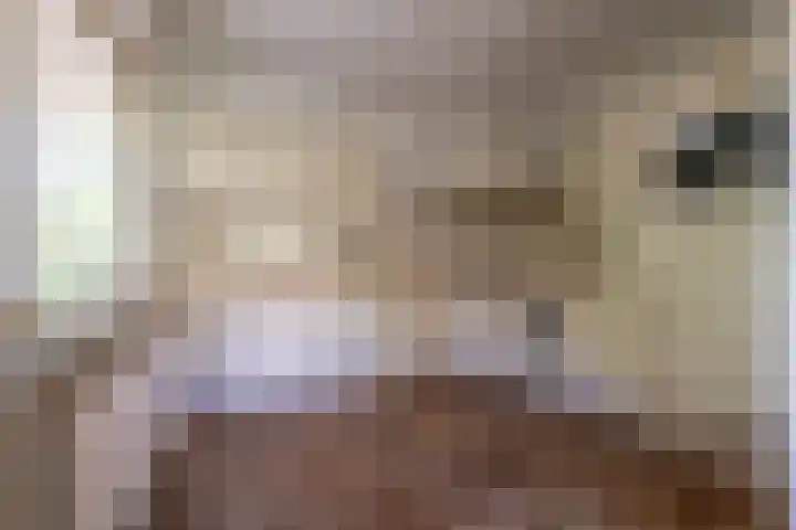 Korenbloemstraat 5 Vries thumbnail 9