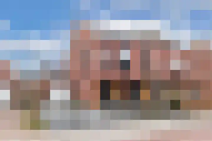 Korenmolen 14 Espel
