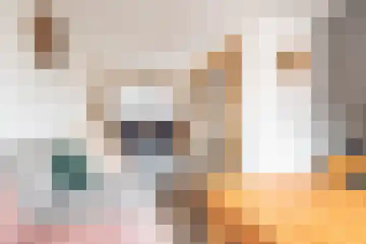 Korenstraat 15 Ulft thumbnail 11