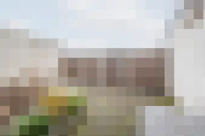 Korenstraat 15 Ulft thumbnail 33