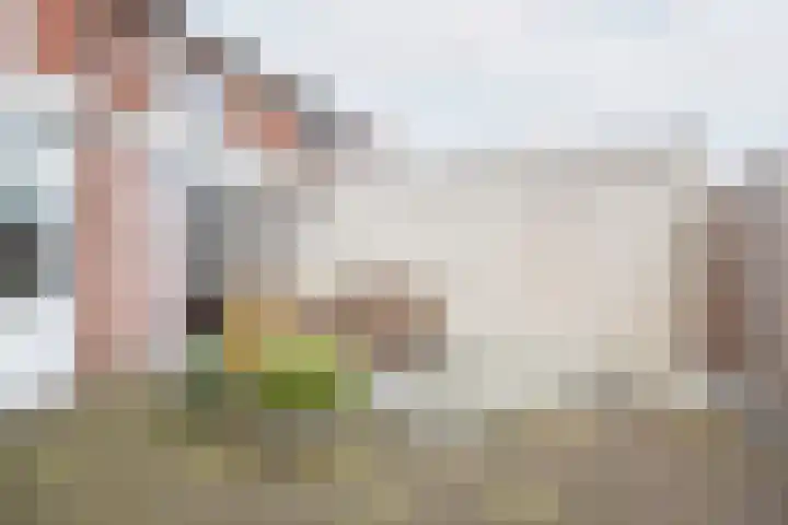 Korenstraat 15 Ulft thumbnail 4