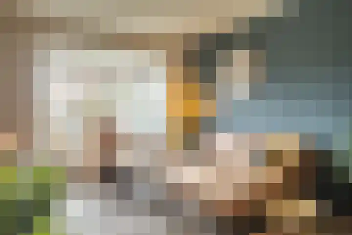 Korenstraat 18 Moergestel thumbnail 5