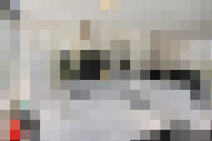 Korenstraat 19 Berghem thumbnail 7