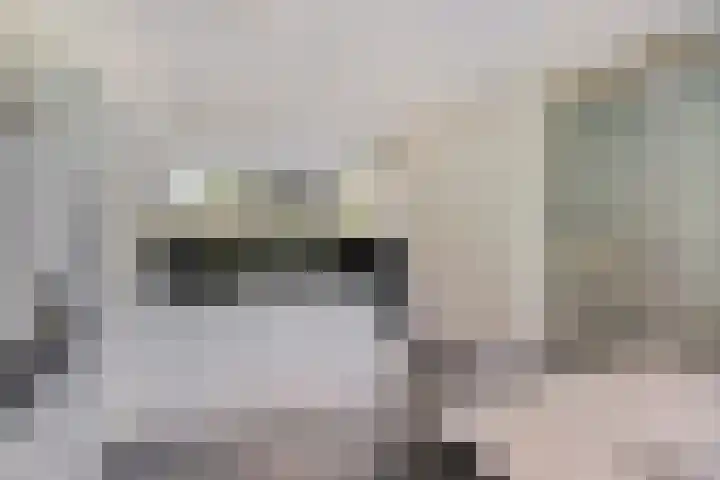 Korenstraat 19 Berghem thumbnail 8
