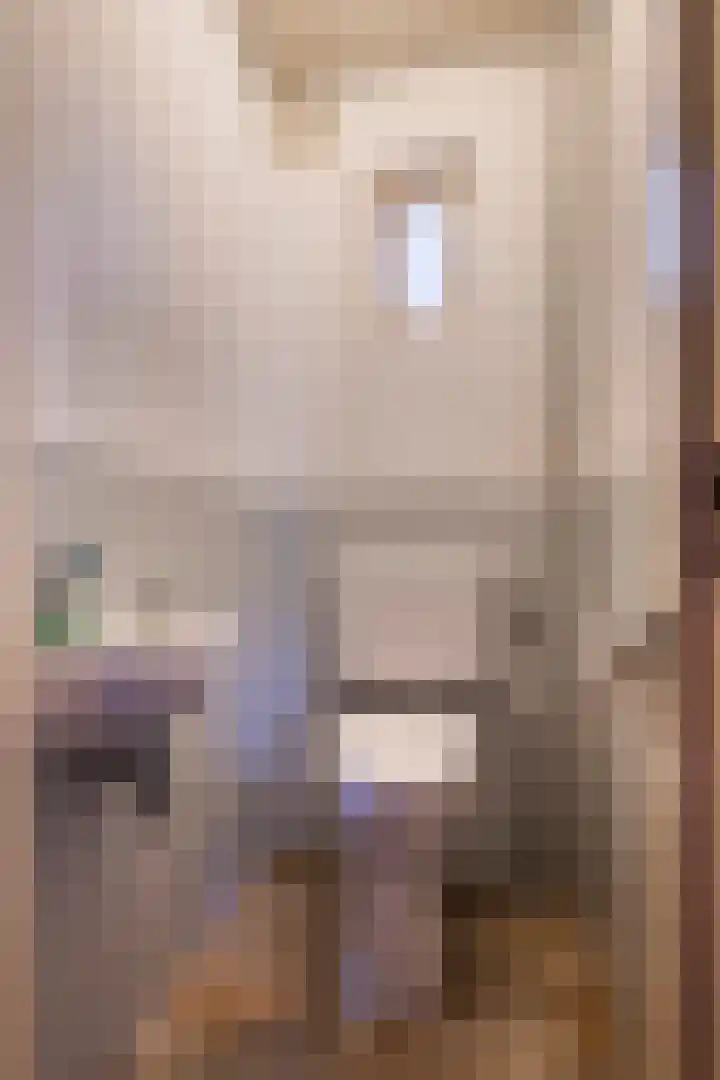 Korenstraat 3 Bergharen thumbnail 17