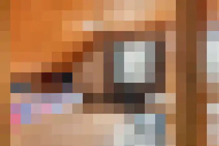 Korenstraat 3 Bergharen thumbnail 26