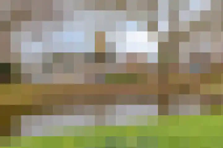 Korenstraat 5 in Epe