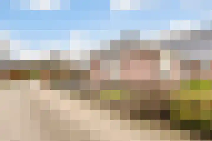 Korenveld 6 Braamt thumbnail 14