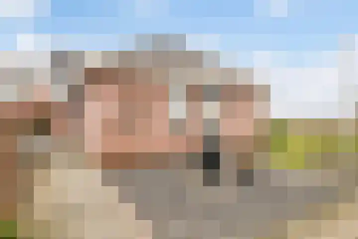 Korenveld 6 Braamt thumbnail 15
