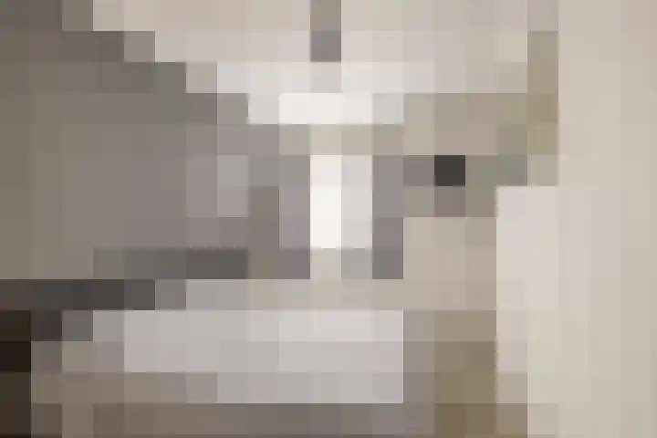 Korenveld 6 Braamt thumbnail 33