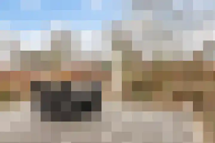 Korenveld 6 Braamt thumbnail 42