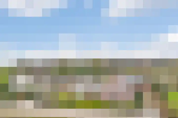 Korenveld 6 Braamt thumbnail 50