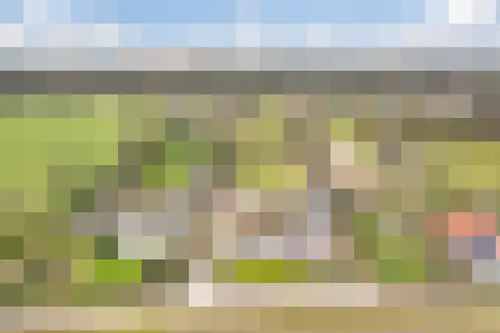 Korenveld 6 Braamt thumbnail 51