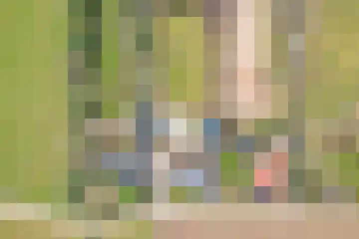 Korenveld 6 Braamt thumbnail 52