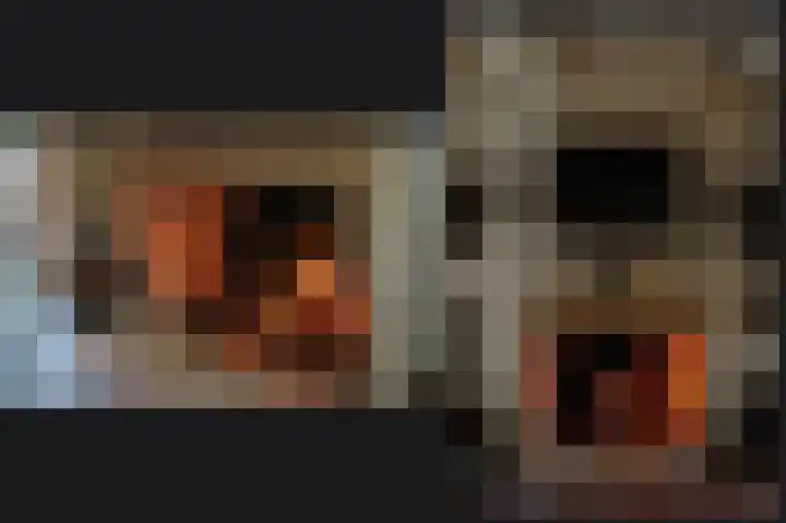 Korfgraaf 24 Hellouw thumbnail 14