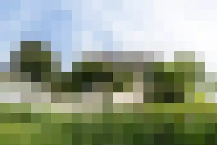 Korfgraaf 24 Hellouw thumbnail 23