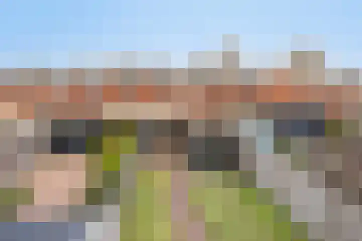 Korfgraaf 24 Hellouw thumbnail 58