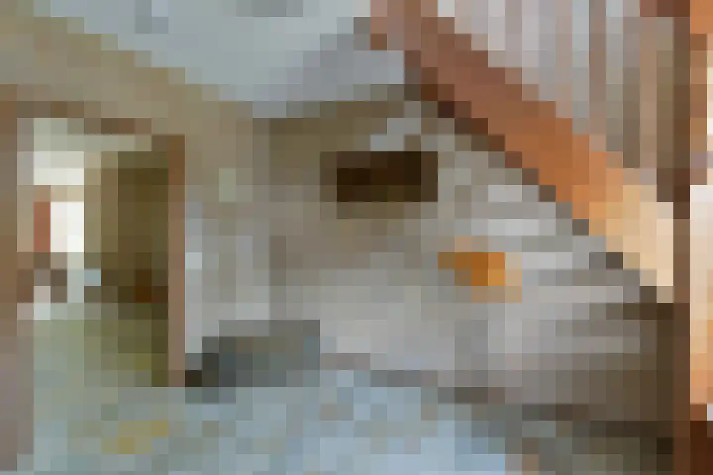 Korfgraaf 24 Hellouw thumbnail 61