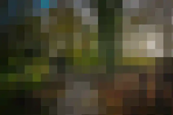 Korfgraaf 24 Hellouw thumbnail 61