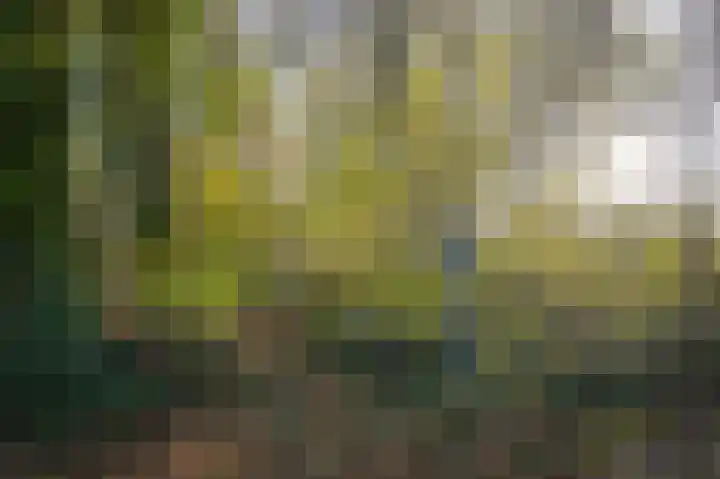 Korfgraaf 24 Hellouw thumbnail 64