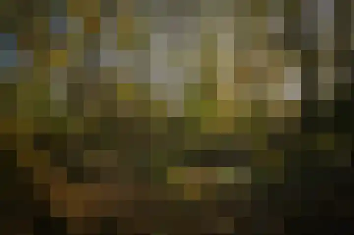 Korfgraaf 24 Hellouw thumbnail 65