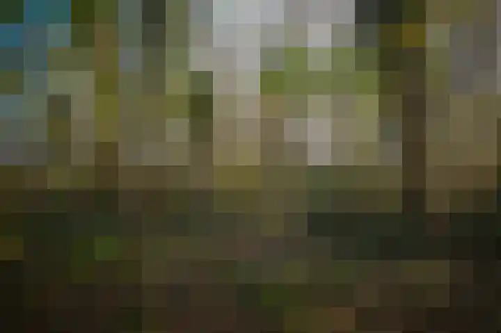 Korfgraaf 24 Hellouw thumbnail 66