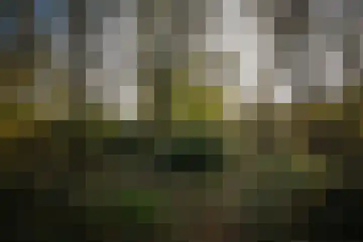Korfgraaf 24 Hellouw thumbnail 67
