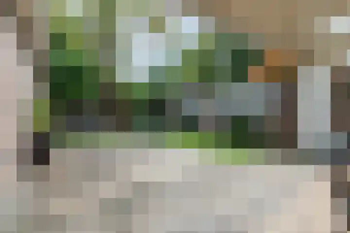 Korfgraaf 24 Hellouw thumbnail 75