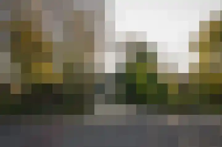 Korfgraaf 24 Hellouw thumbnail 75