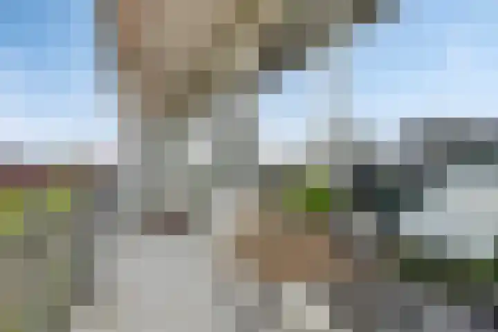 Korfoedreef 111 Utrecht thumbnail 32