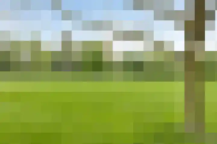 Korfoedreef 111 Utrecht thumbnail 33