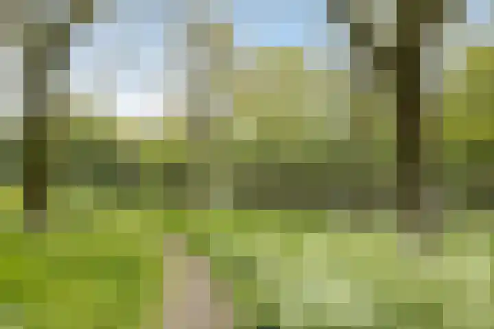 Korfoedreef 111 Utrecht thumbnail 34