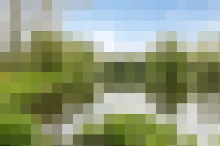 Korfoedreef 111 Utrecht thumbnail 35