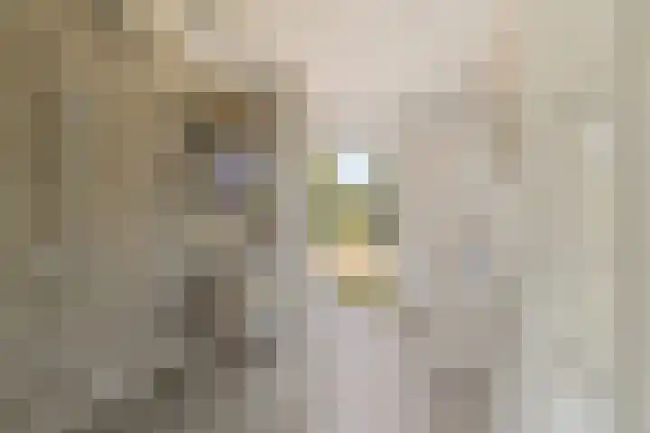 Korfoepad 193 Rotterdam thumbnail 23