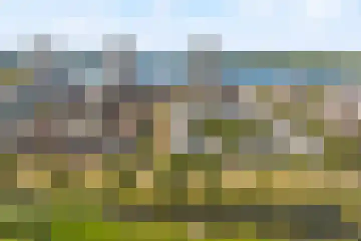 Korfoepad 193 Rotterdam thumbnail 34