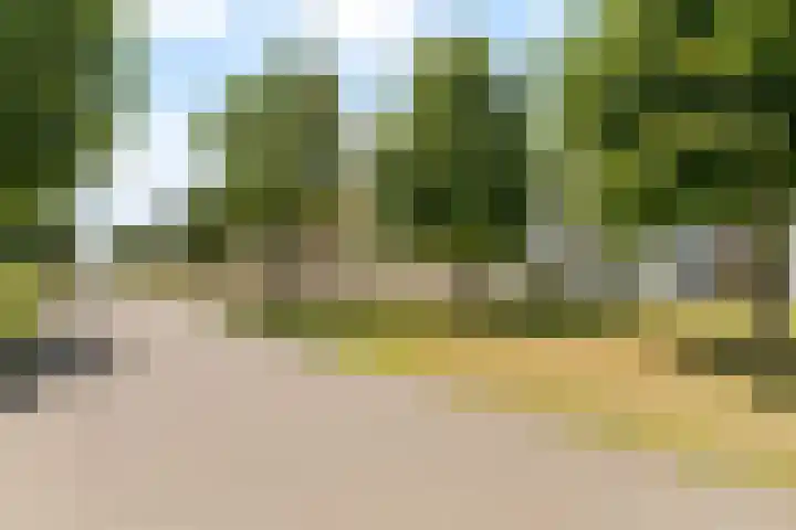 Korfoepad 193 Rotterdam thumbnail 35