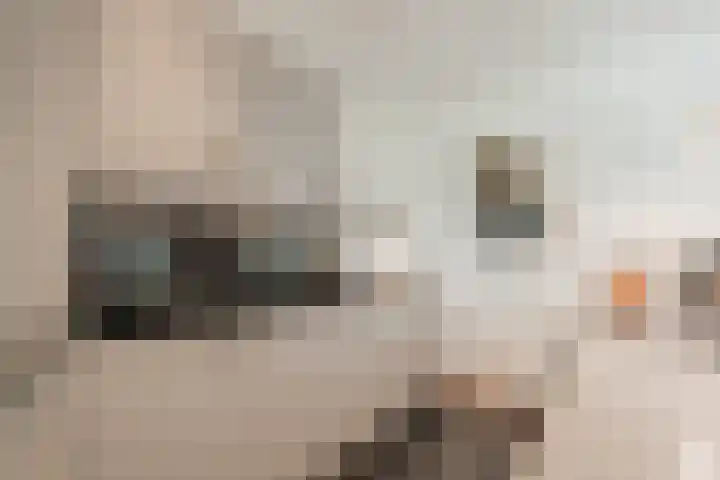 Korhoenderveld 32 Cuijk thumbnail 12