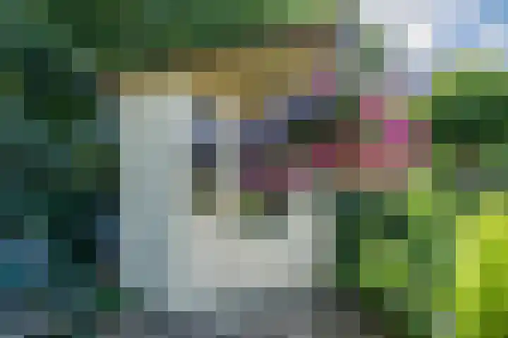Korhoenderveld 32 Cuijk thumbnail 26