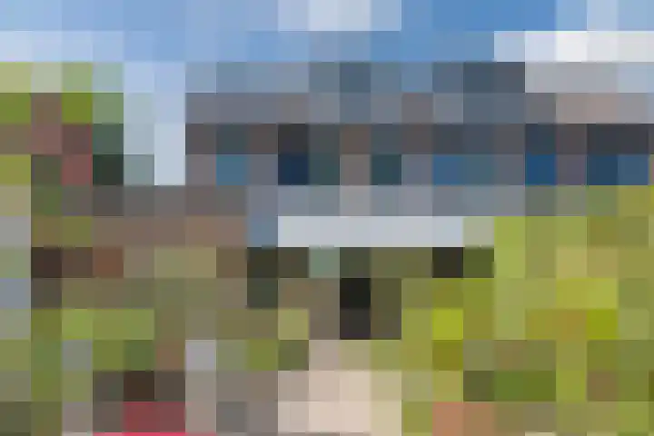 Korhoenderveld 32 Cuijk thumbnail 27