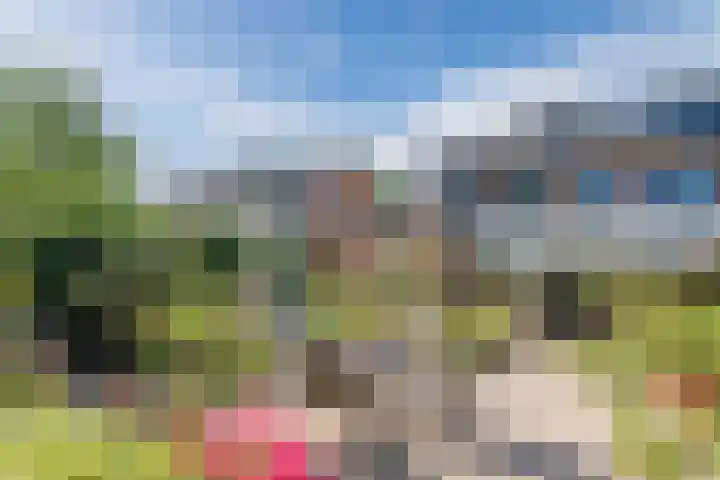 Korhoenderveld 32 Cuijk thumbnail 28