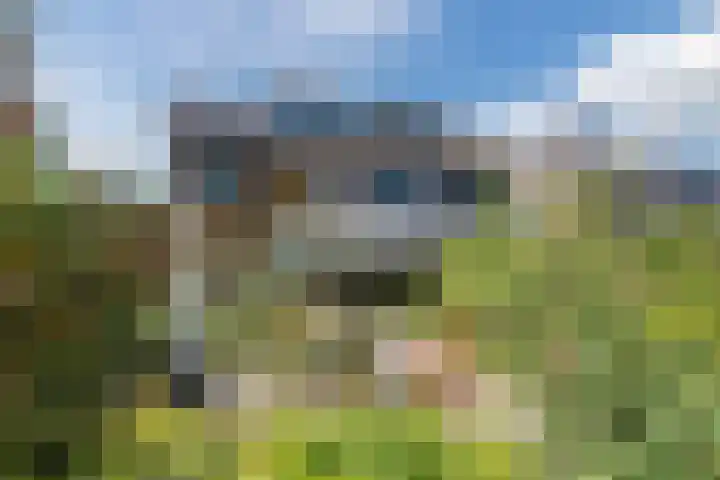 Korhoenderveld 32 Cuijk thumbnail 4