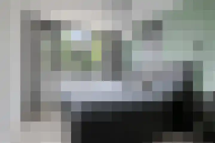 Korhoenderveld 61 Cuijk thumbnail 19