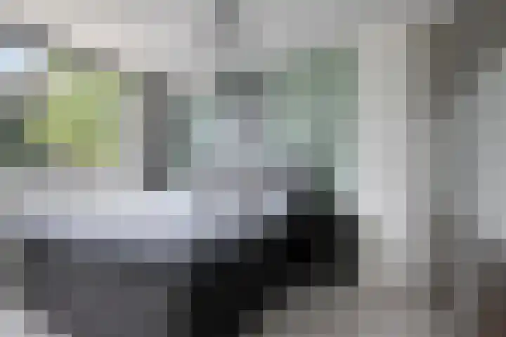 Korhoenderveld 61 Cuijk thumbnail 20