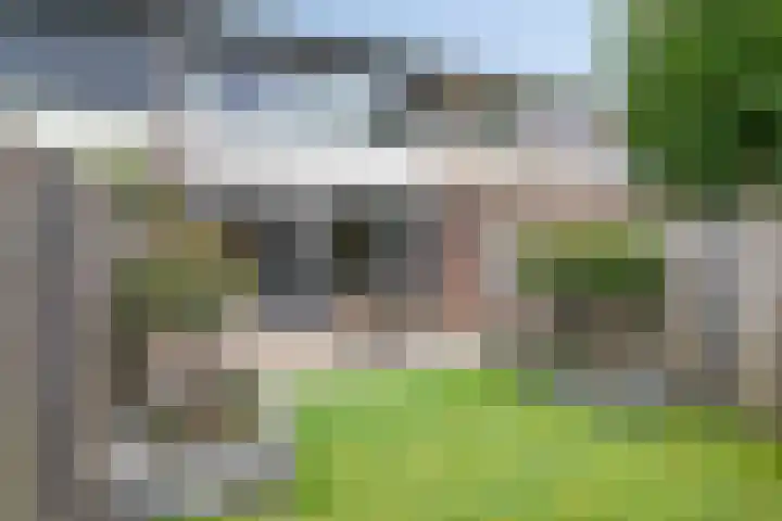 Korhoenderveld 61 Cuijk thumbnail 29